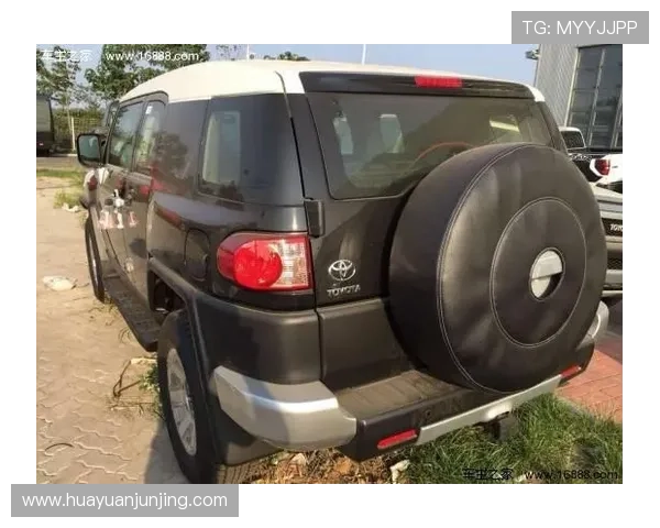 武汉羽毛球队在洲际杯积分榜上以64分稳居第一名展现强劲实力