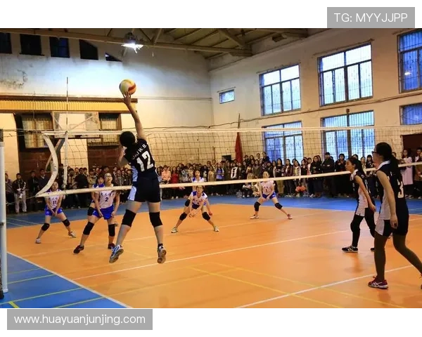 武汉排球队引领排球技术新潮流十大创新技巧解析 武汉排球队引领排球技术新潮流十大创新技巧解析