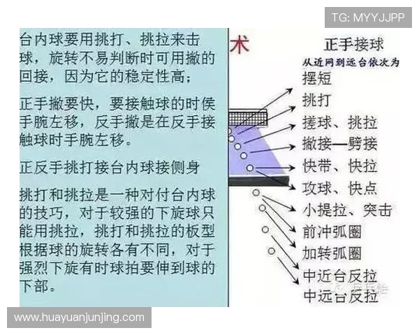 乒乓球的魅力之旅：深入广州乒乓球队的技术与训练揭秘